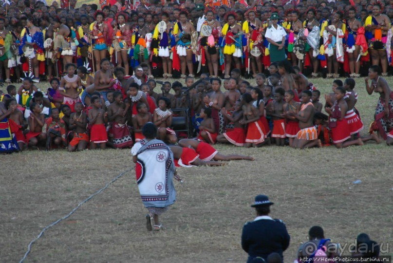 Умхланга. День VII. Его Величество Мсвати III выбирает Умхланга. День VII. Его Величество Мсвати III выбирает