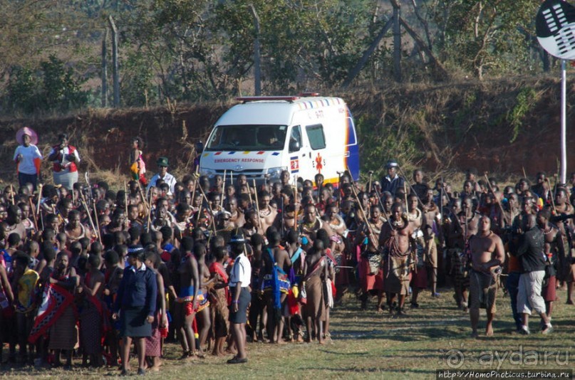 Умхланга. День VII. Его Величество Мсвати III выбирает Умхланга. День VII. Его Величество Мсвати III выбирает