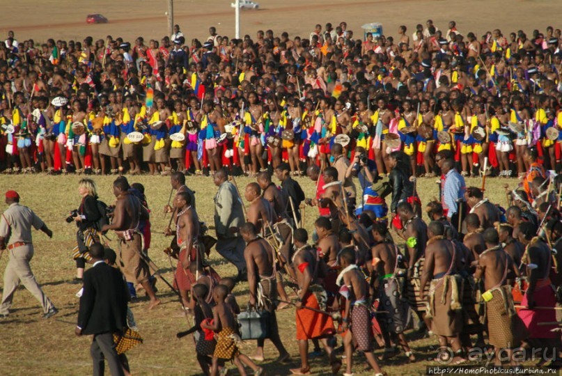 Умхланга. День VII. Его Величество Мсвати III выбирает Умхланга. День VII. Его Величество Мсвати III выбирает