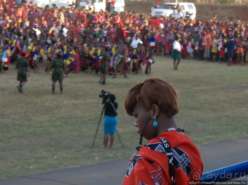 Умхланга. День VII. Его Величество Мсвати III выбирает Умхланга. День VII. Его Величество Мсвати III выбирает