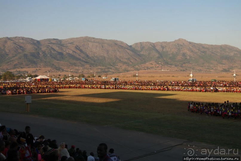 Умхланга. День VII. Его Величество Мсвати III выбирает Умхланга. День VII. Его Величество Мсвати III выбирает