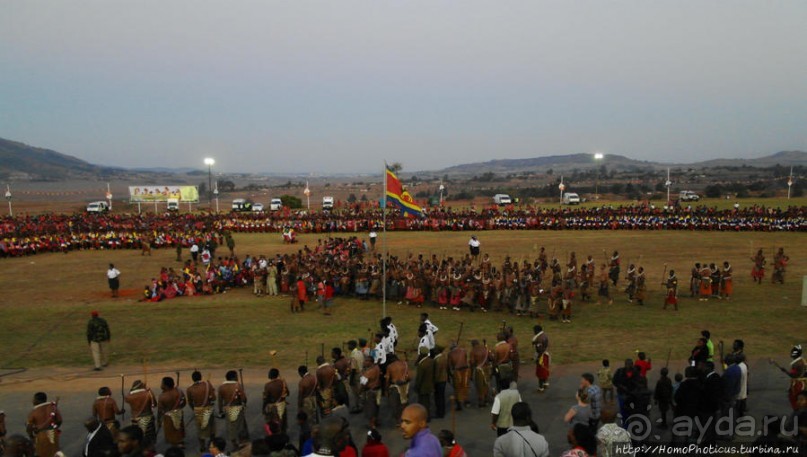 Умхланга. День VII. Его Величество Мсвати III выбирает Умхланга. День VII. Его Величество Мсвати III выбирает