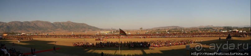 Умхланга. День VII. Его Величество Мсвати III выбирает Умхланга. День VII. Его Величество Мсвати III выбирает