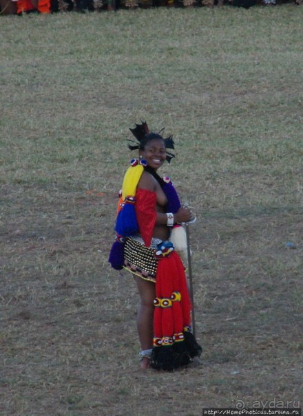 Умхланга. День VII. Его Величество Мсвати III выбирает Умхланга. День VII. Его Величество Мсвати III выбирает