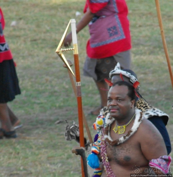 Умхланга. День VII. Его Величество Мсвати III выбирает Умхланга. День VII. Его Величество Мсвати III выбирает