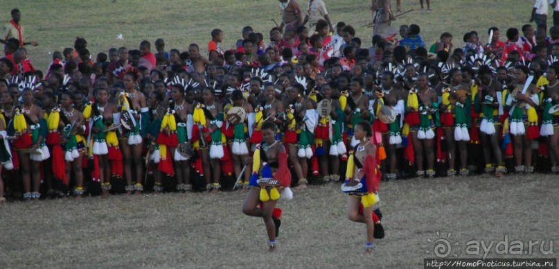 Умхланга. День VII. Его Величество Мсвати III выбирает Умхланга. День VII. Его Величество Мсвати III выбирает