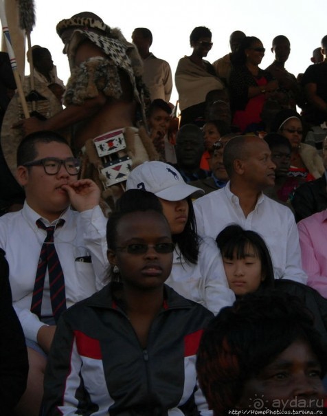 Умхланга. День VII. Его Величество Мсвати III выбирает Умхланга. День VII. Его Величество Мсвати III выбирает