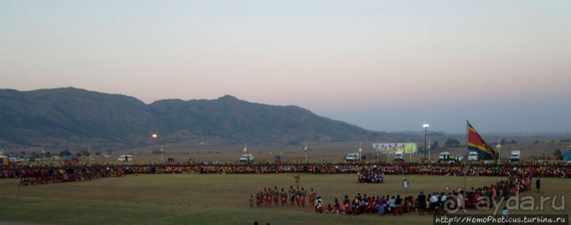 Умхланга. День VII. Его Величество Мсвати III выбирает Умхланга. День VII. Его Величество Мсвати III выбирает