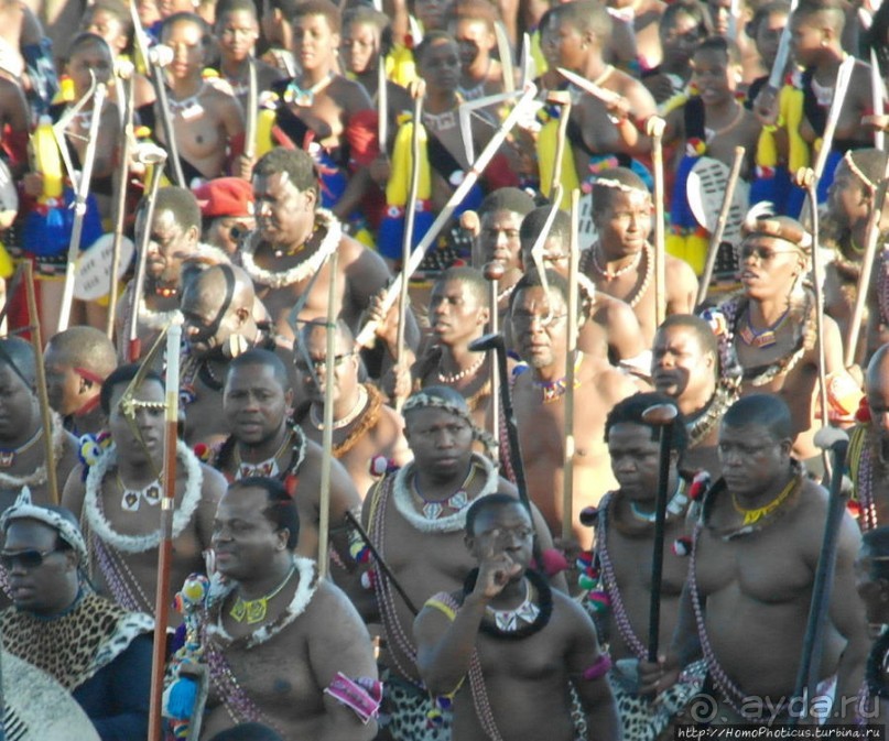 Умхланга. День VII. Его Величество Мсвати III выбирает Умхланга. День VII. Его Величество Мсвати III выбирает