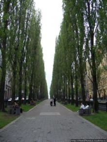 Экспресс-Киев