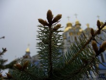 Экспресс-Киев