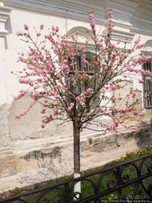 Экспресс-Киев