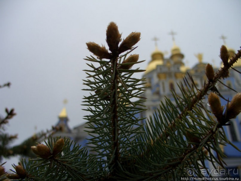 Экспресс-Киев