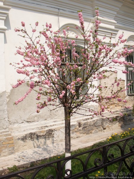 Экспресс-Киев