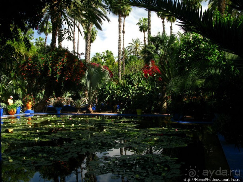 Сад Мажореля