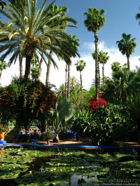 Сад Мажореля