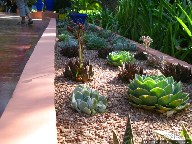 Сад Мажореля