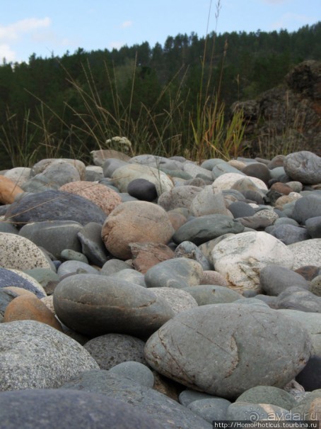 Над Катунью