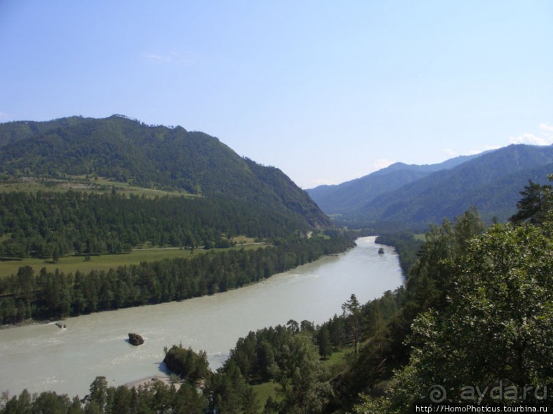 Над Катунью