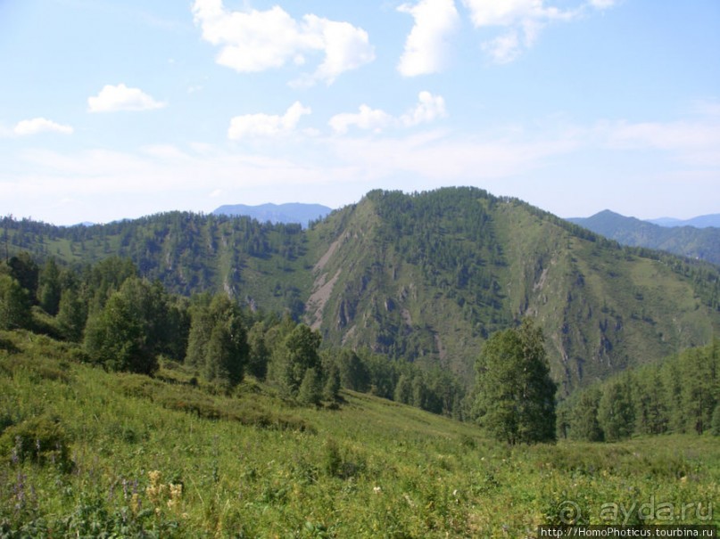 Над Катунью