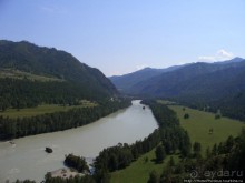 Над Катунью