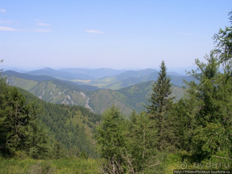 Над Катунью