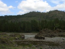 Над Катунью