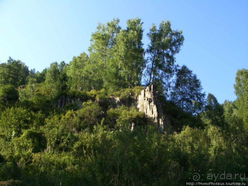 Над Катунью