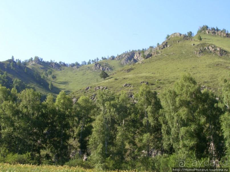 Над Катунью