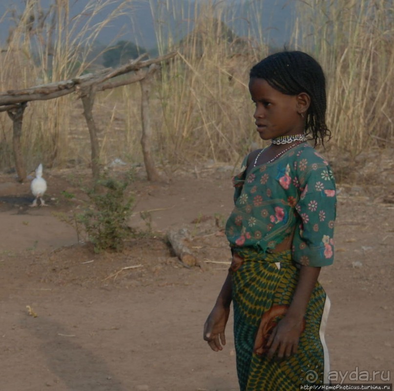 Такие разные мбороро