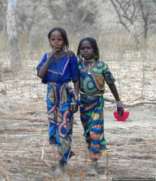 Такие разные мбороро