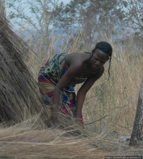 Такие разные мбороро