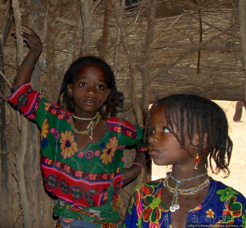 Такие разные мбороро