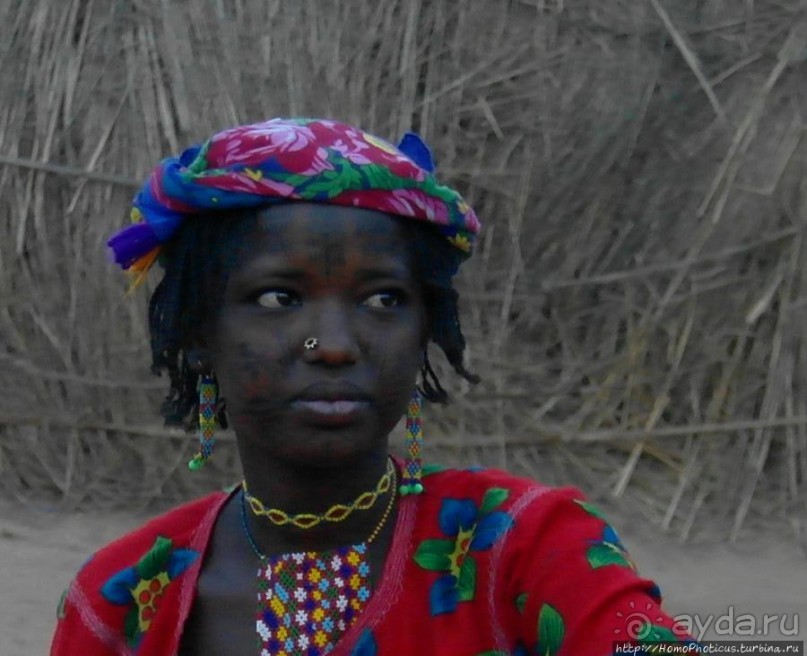 Такие разные мбороро