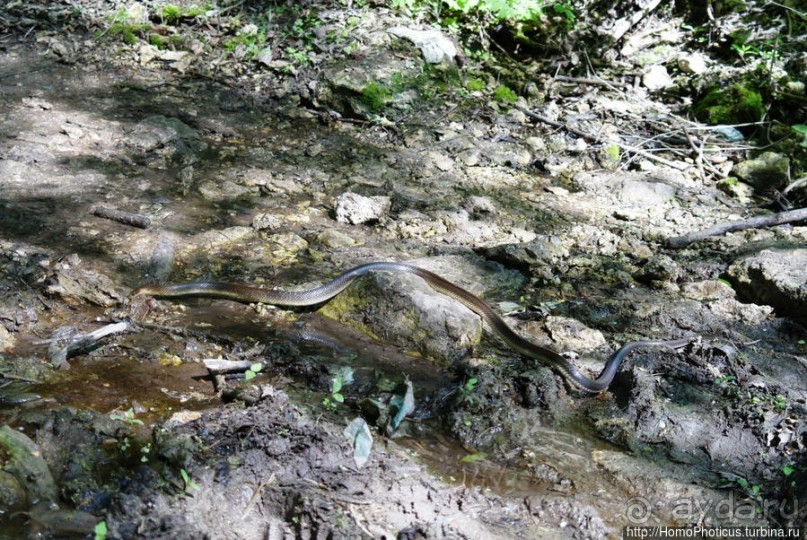 От следа Богородицы до Ямы Цыгана