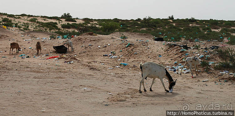 Мавританские пески. I. Через горы в пустыню