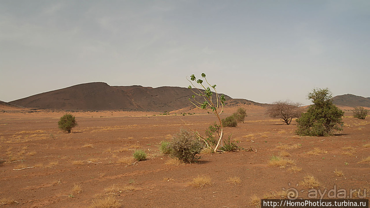 Мавританские пески. I. Через горы в пустыню