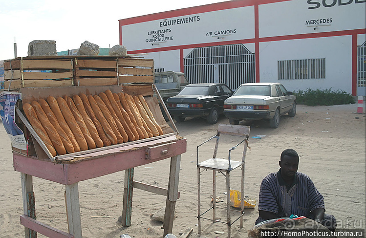 Мавританские пески. I. Через горы в пустыню
