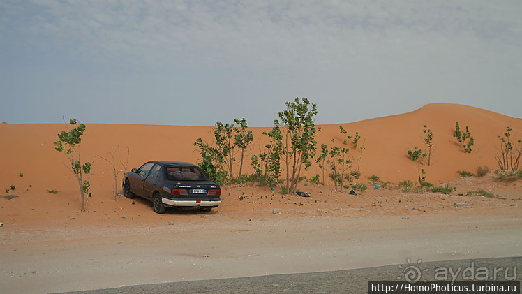 Мавританские пески. I. Через горы в пустыню
