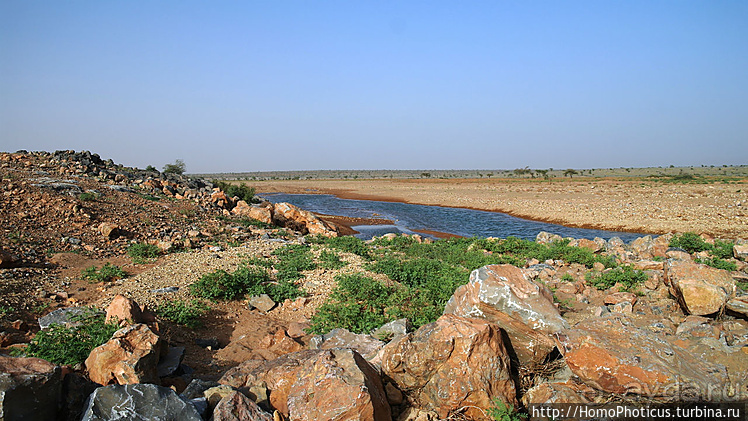Мавританские пески. I. Через горы в пустыню