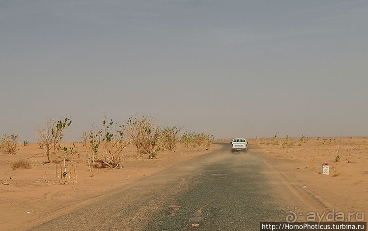 Мавританские пески. I. Через горы в пустыню