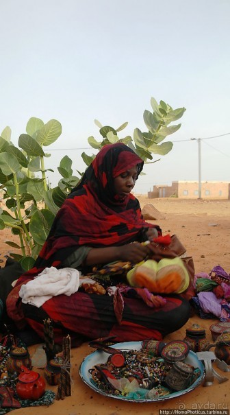 Мавританские пески. I. Через горы в пустыню