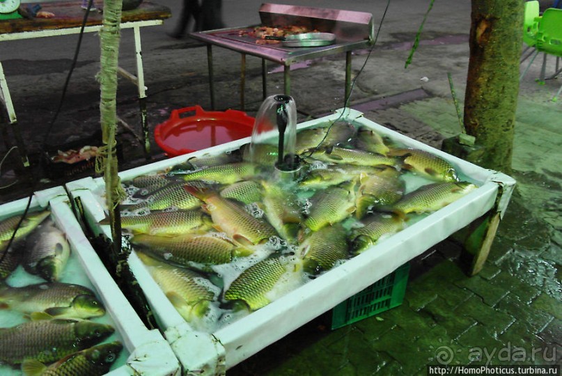 Возвращение в Багдад