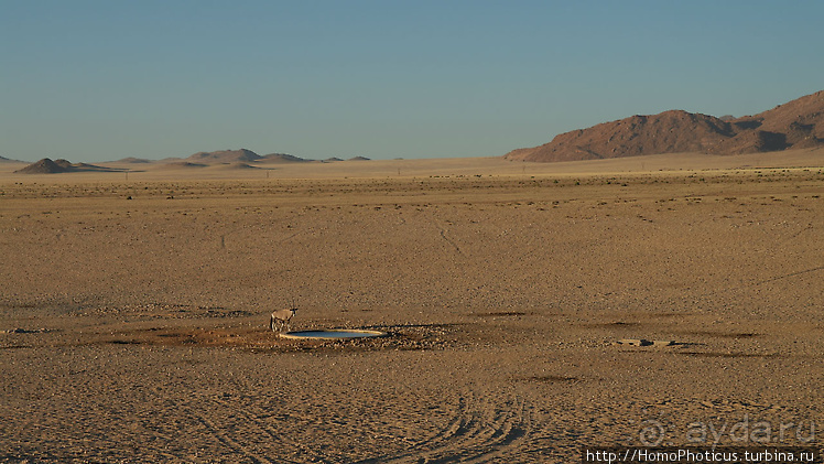 Намибийские пейзажи. Ч.1 На юг, к Фиш-ривер