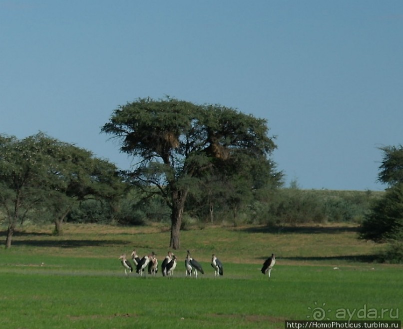 Намибийские пейзажи. Ч.1 На юг, к Фиш-ривер