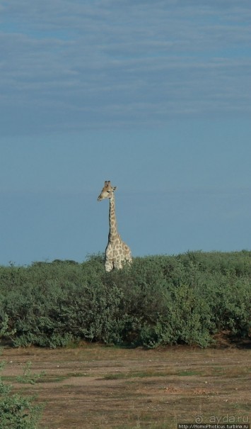 Намибийские пейзажи. Ч.1 На юг, к Фиш-ривер