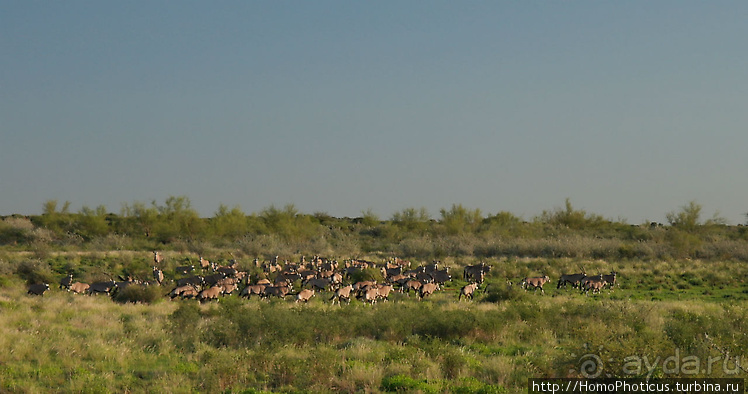 Намибийские пейзажи. Ч.1 На юг, к Фиш-ривер