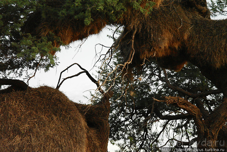 Намибийские пейзажи. Ч.1 На юг, к Фиш-ривер