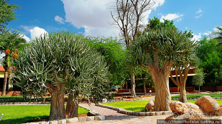 Намибийские пейзажи. Ч.1 На юг, к Фиш-ривер