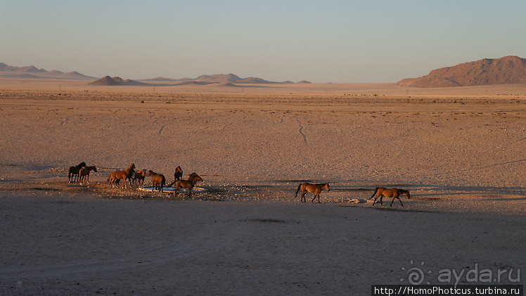 Намибийские пейзажи. Ч.1 На юг, к Фиш-ривер